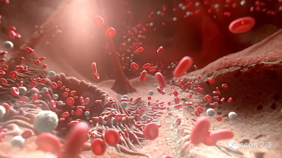 微信圖片_20200525140229.jpg 微信圖片_20200525140229.jpg