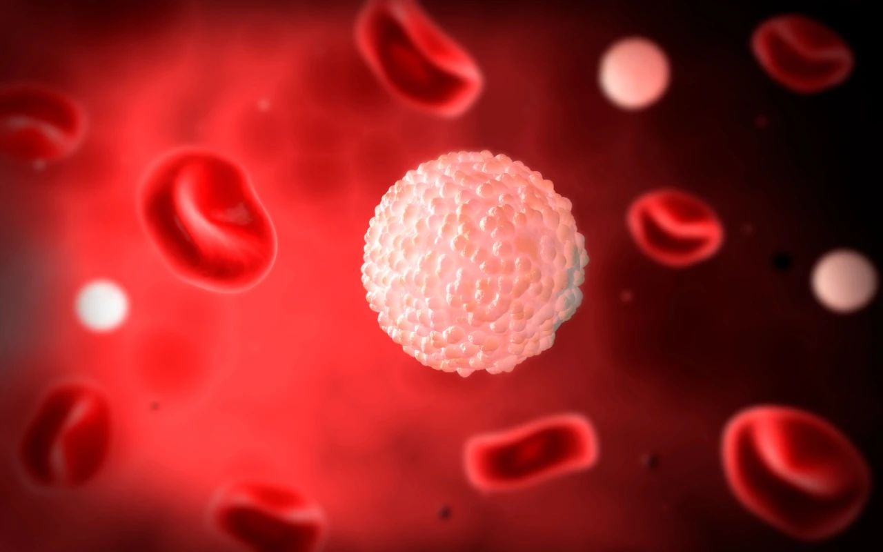 看不懂的血常規(guī)化驗單，原來背后學(xué)問這么多