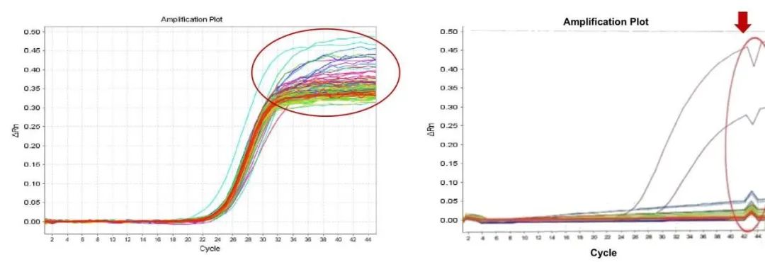 微信圖片_20220214084911.jpg 微信圖片_20220214084911.jpg